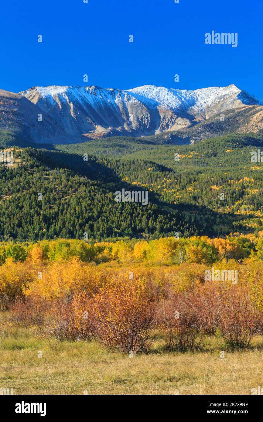 fall colors below mount haggin in the anaconda range near anaconda