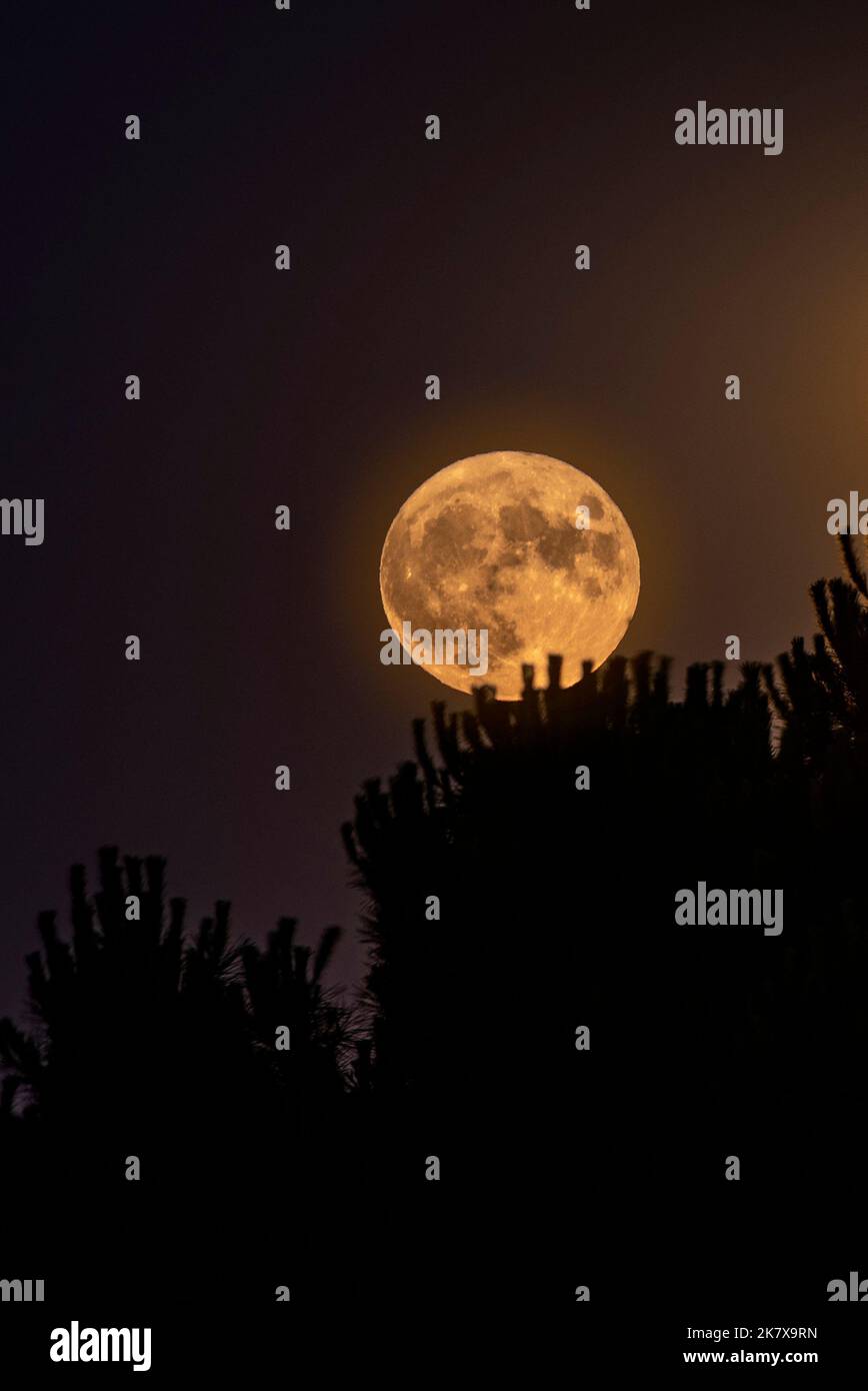 View of the rising of the moon at the perigee Stock Photo