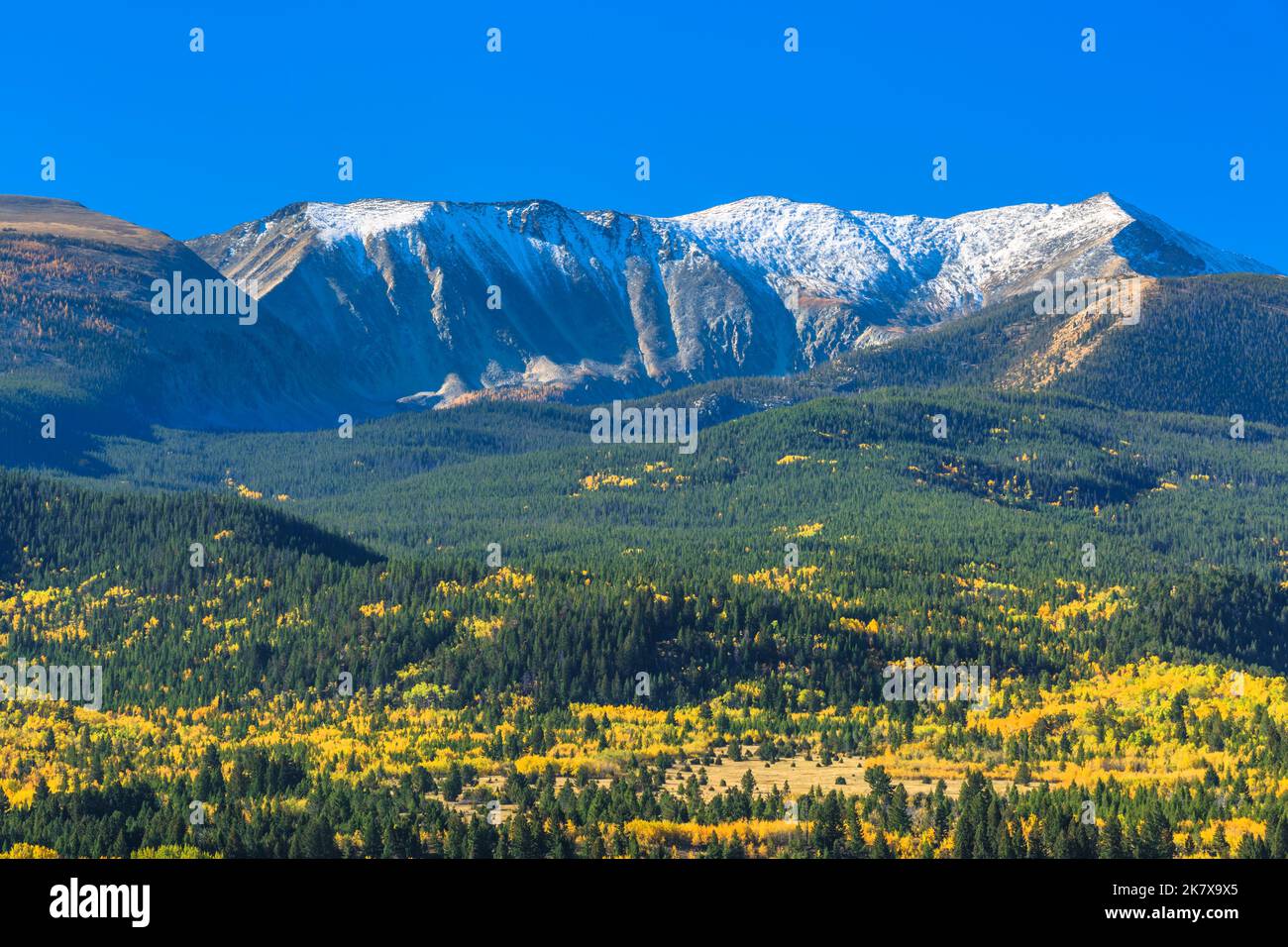 fall colors below mount haggin in the anaconda range near anaconda ...