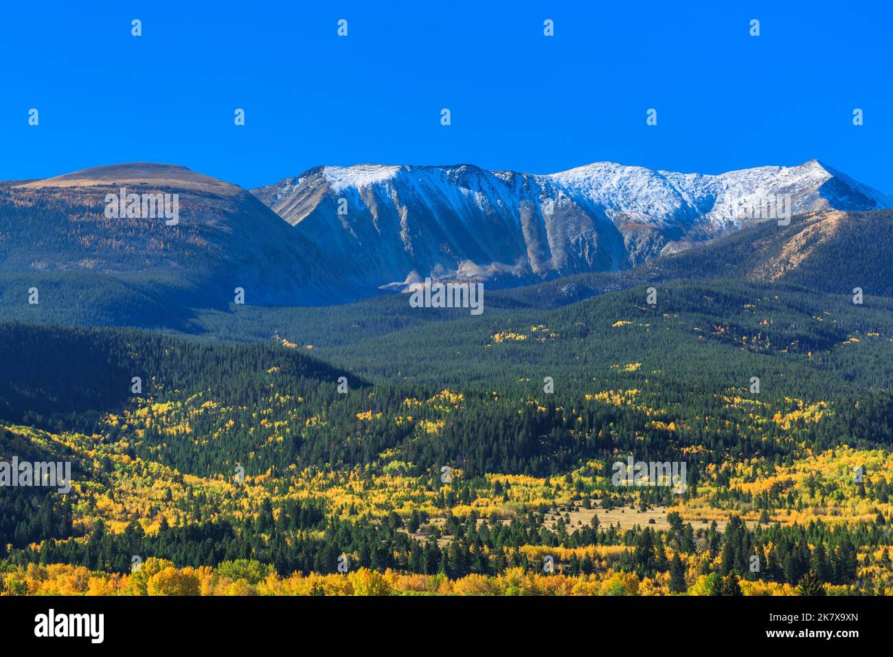 fall colors below mount haggin in the anaconda range near anaconda ...