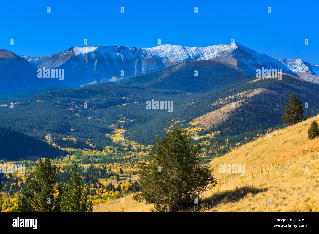 fall colors below mount haggin in the anaconda range near anaconda