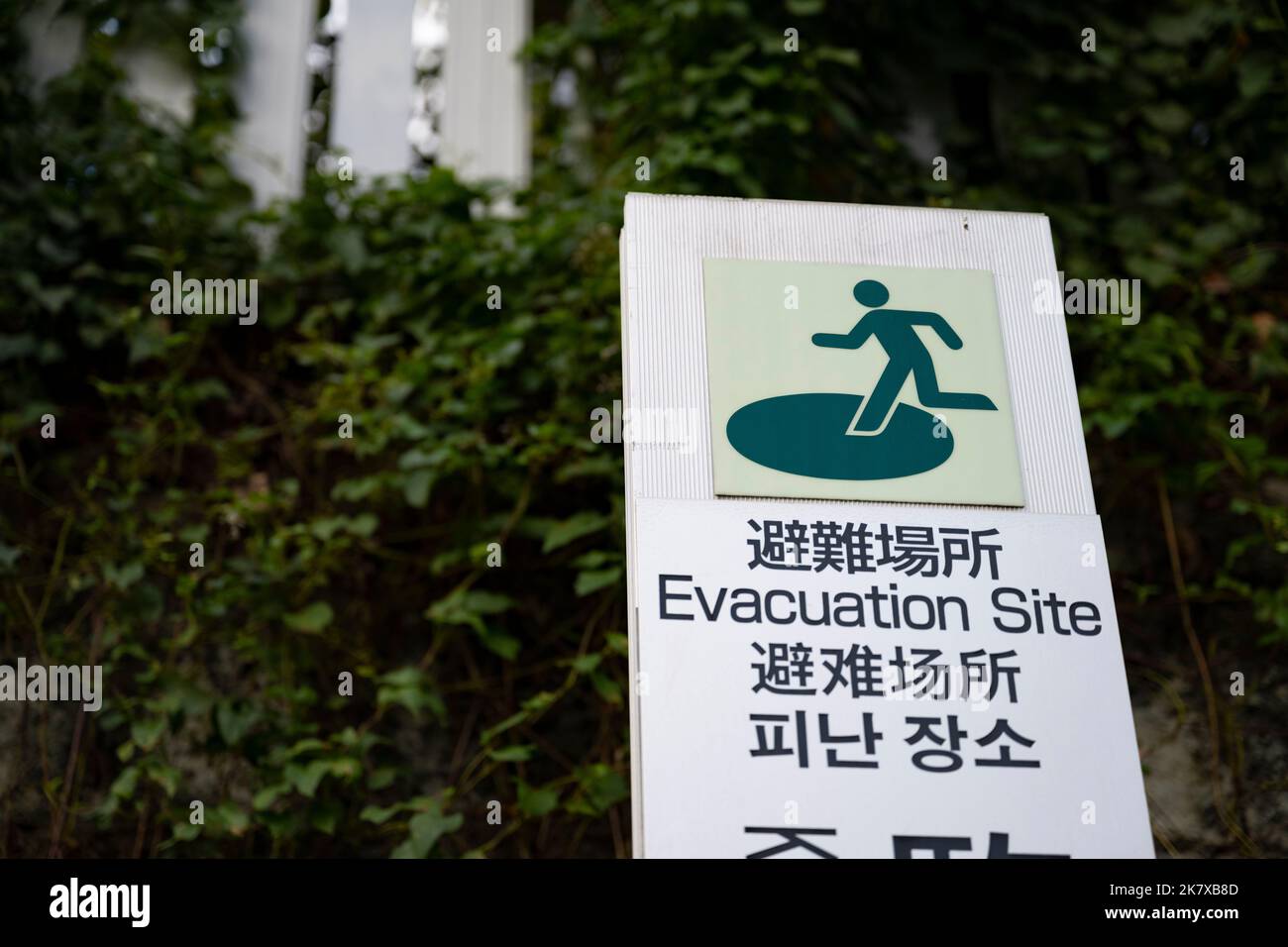 Tokyo tsunami zone map