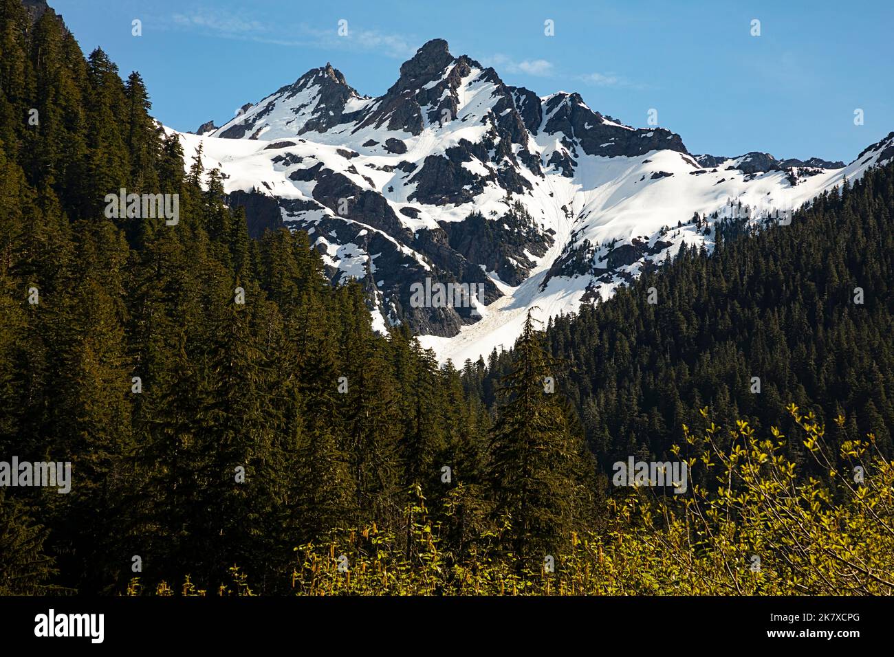 WA2239200...WASHINGTON Mount Anderson and the West Peak at the upper