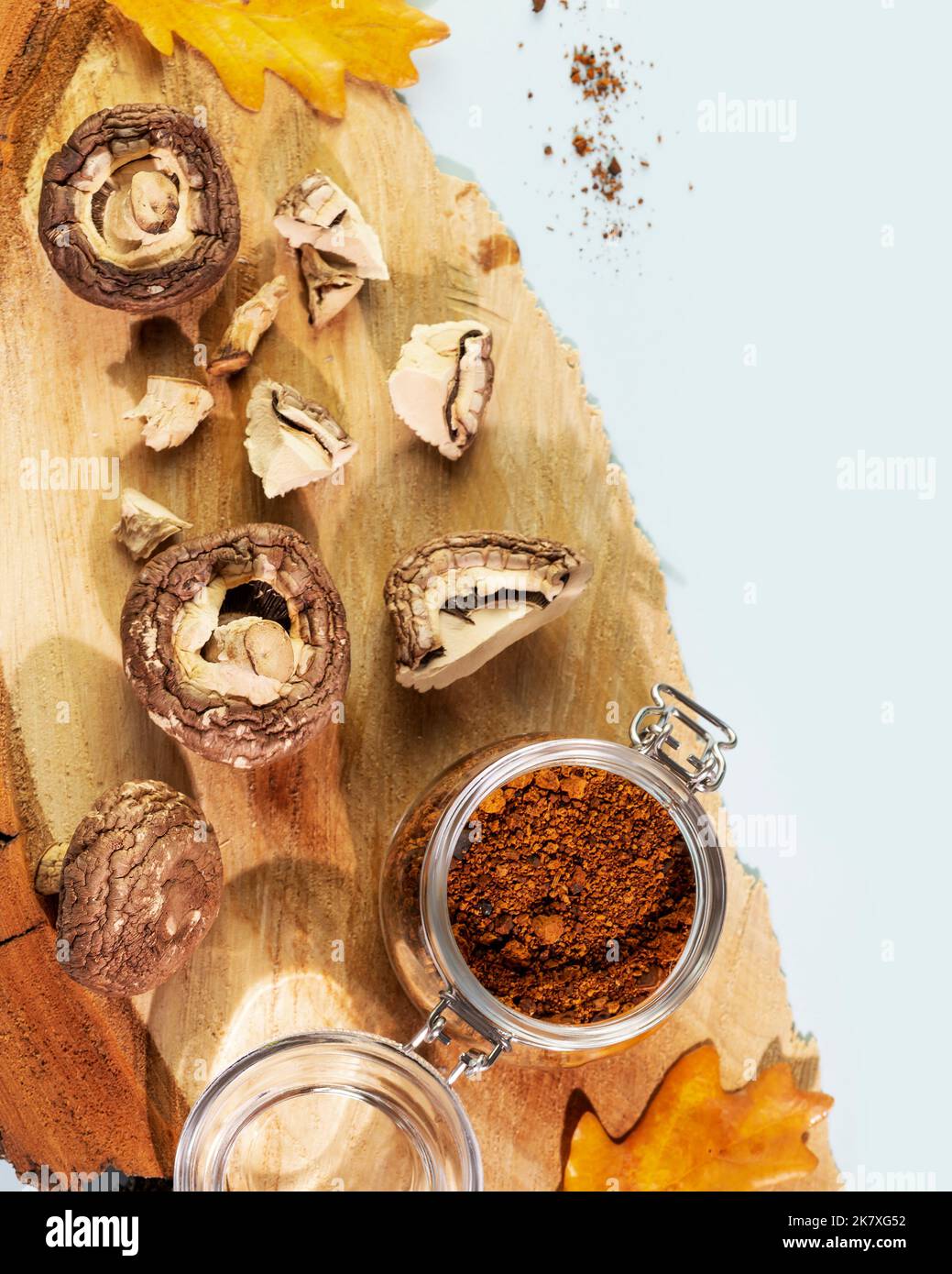 Pieces of dry mushrooms with chaga powder on a wooden podium Stock Photo