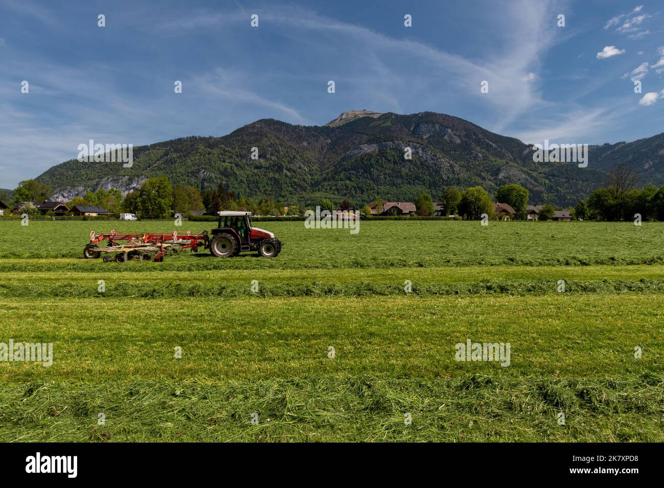 Farmer on tractor raking new mown hay in Sazkammergut, Upper Austria ...