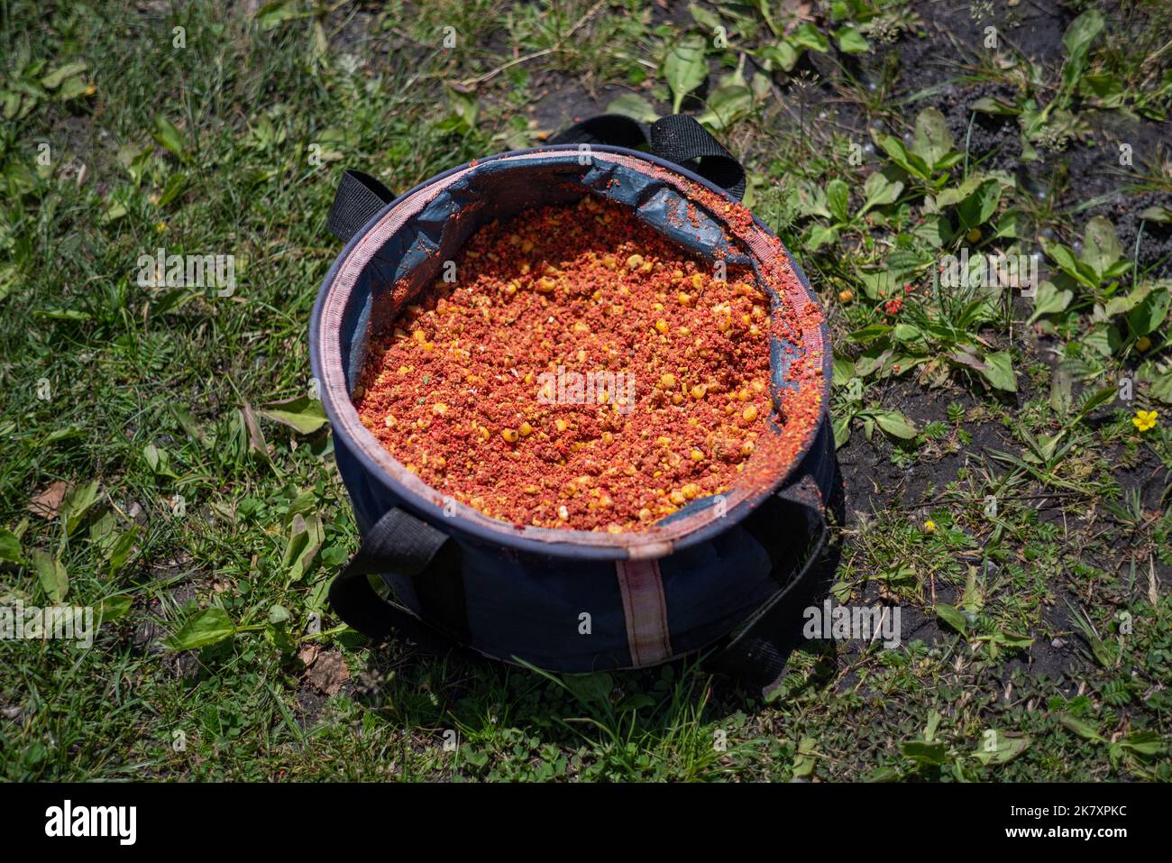 Variety of food in a bucket. Fishing bait in a soft bucket. Fishing feed for carp fishing with corn. Stock Photo