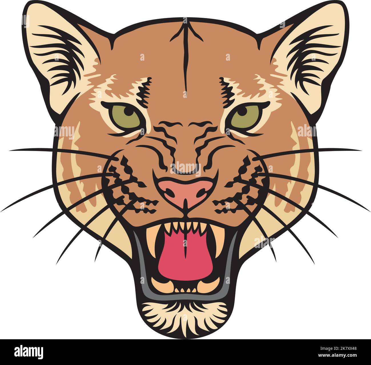 Cougar Face Color Vector Illustration Stock Vector