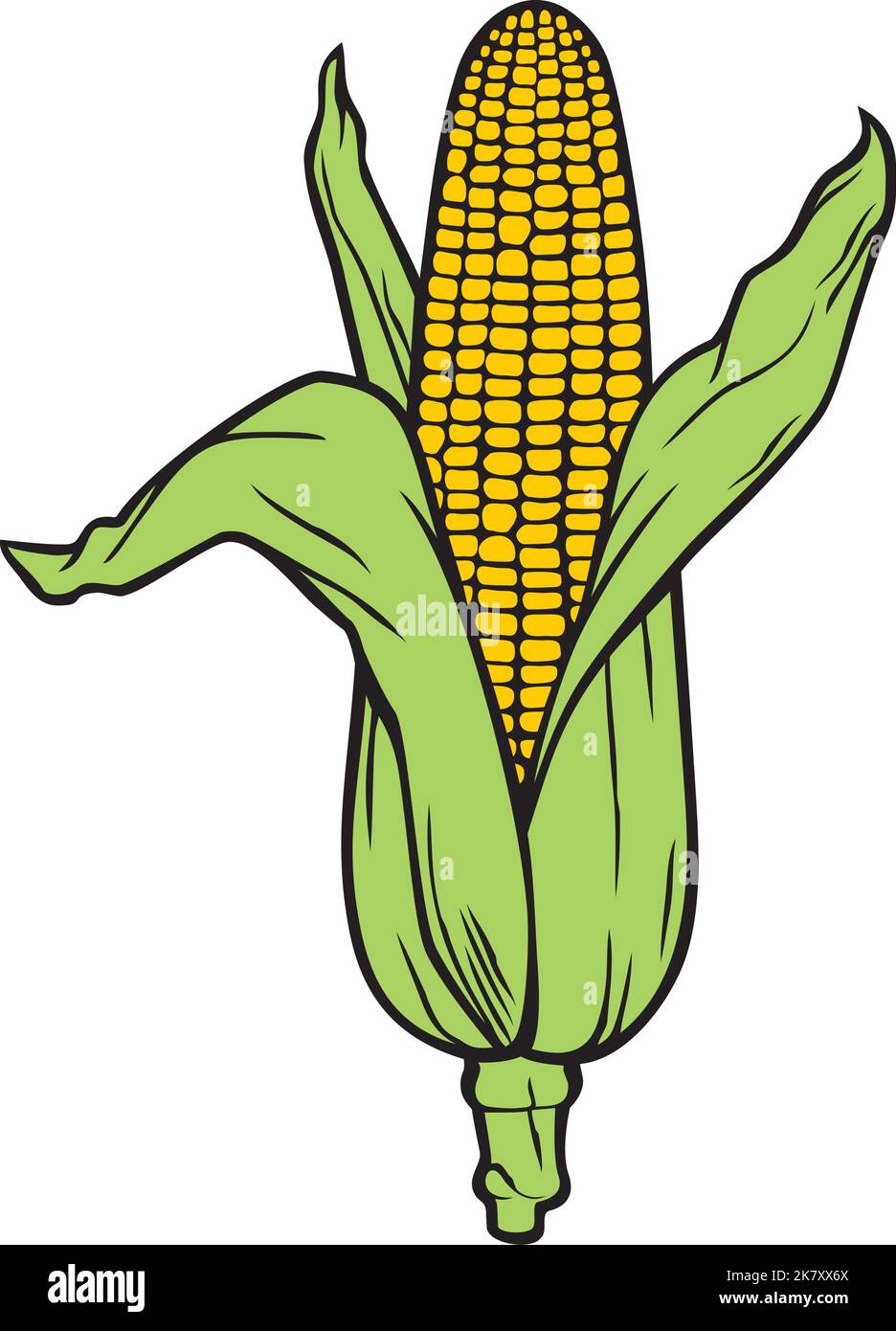 Corn (Corncob with Green Leaves) Color. Vector Illustration. Stock Vector