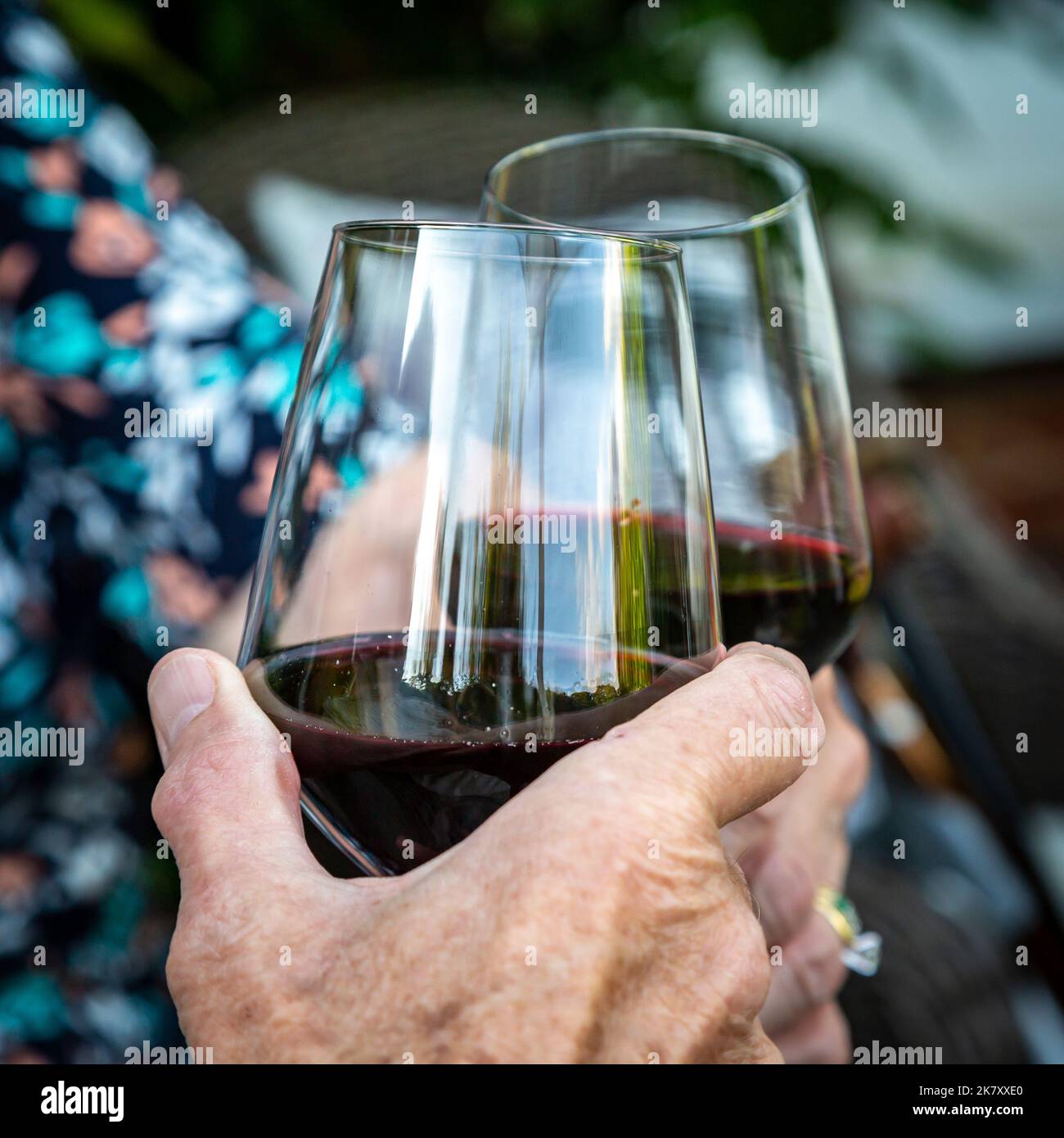 A close up of an elderly couple making a toast with glasses of red wine Stock Photo