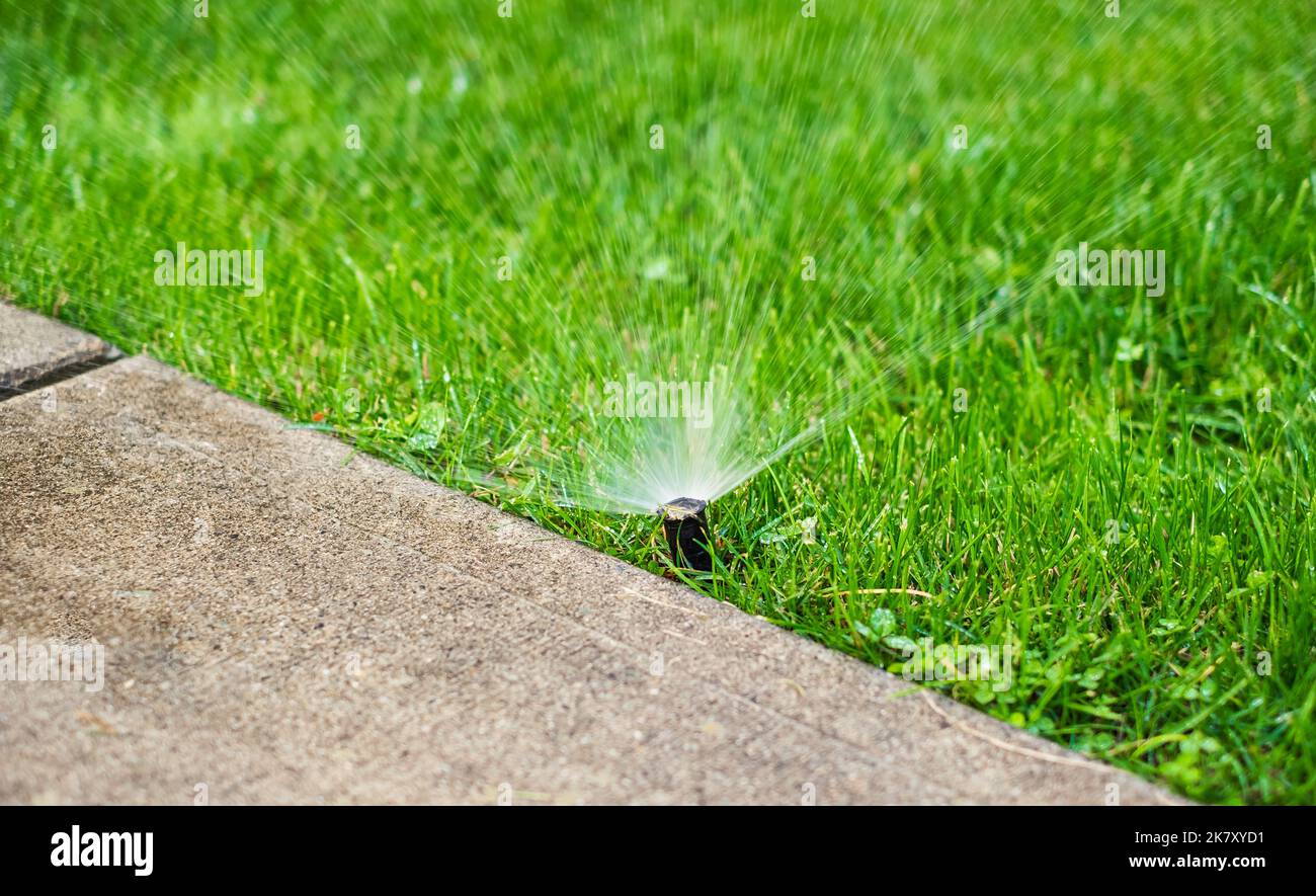 Automatic Garden Lawn sprinkler in action watering grass. Automatic