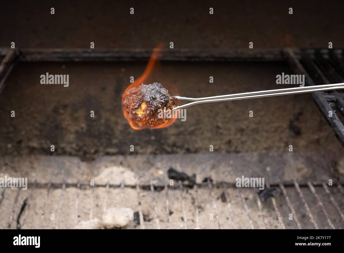 Roasted marshmallow burning on skewer Stock Photo