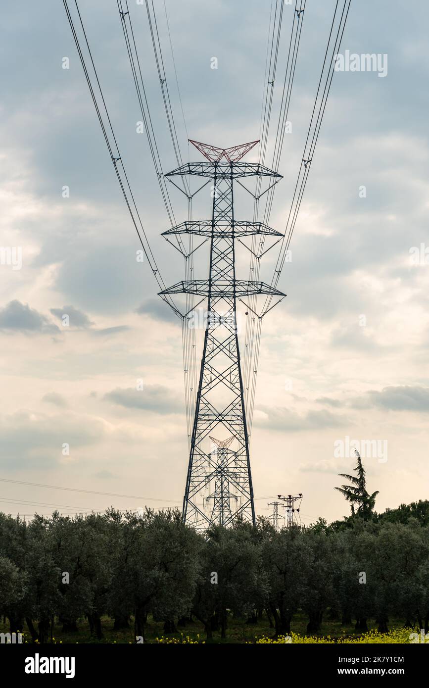 High Voltage electric Pole in the middle of Agriculture Field Stock ...