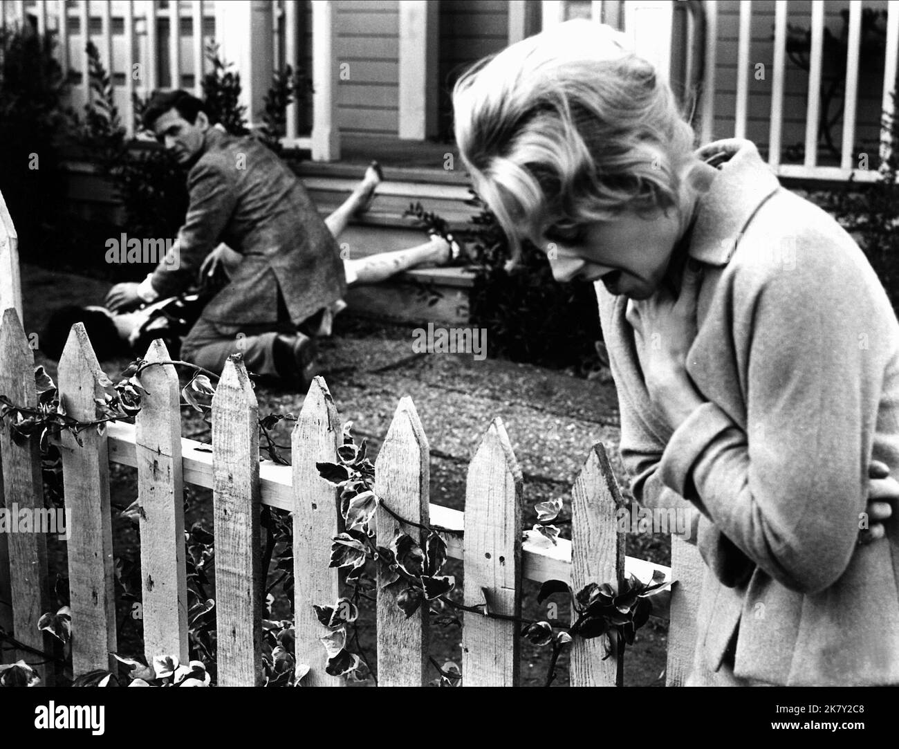 Rod Taylor & Tippi Hedren Film: The Birds (USA 1963) Characters: Mitch ...
