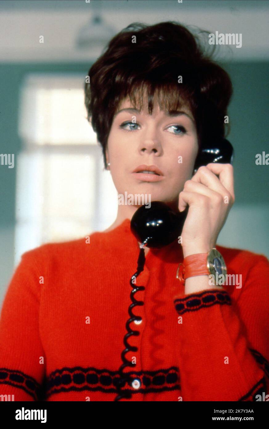 Rosemary Nicols Television Department S (TVSerie) Characters