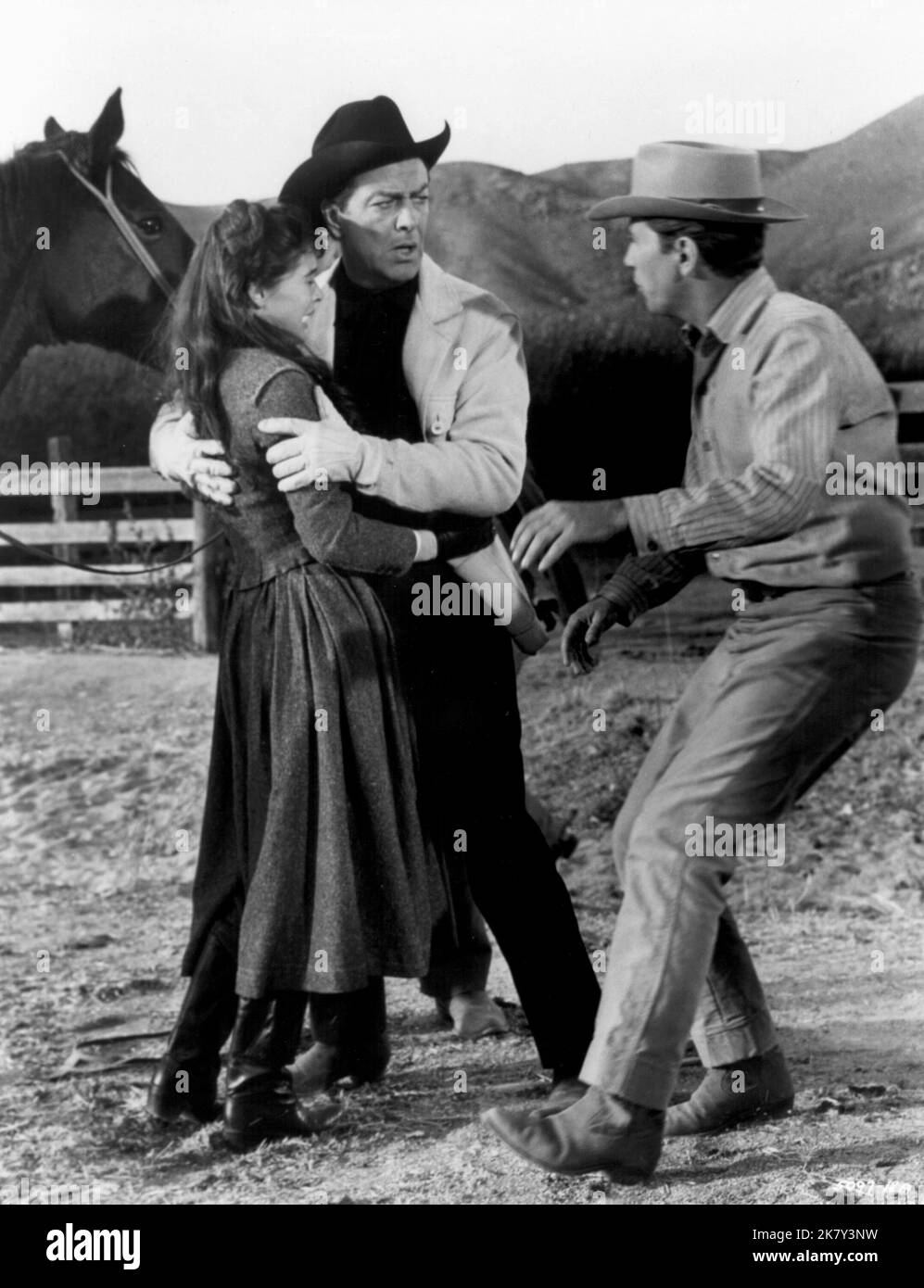 Robert Taylor Film: Cattle King (1963) Characters: Sam Brassfield  Director: Tay Garnett 31 July 1963   **WARNING** This Photograph is for editorial use only and is the copyright of MGM and/or the Photographer assigned by the Film or Production Company and can only be reproduced by publications in conjunction with the promotion of the above Film. A Mandatory Credit To MGM is required. The Photographer should also be credited when known. No commercial use can be granted without written authority from the Film Company. Stock Photo