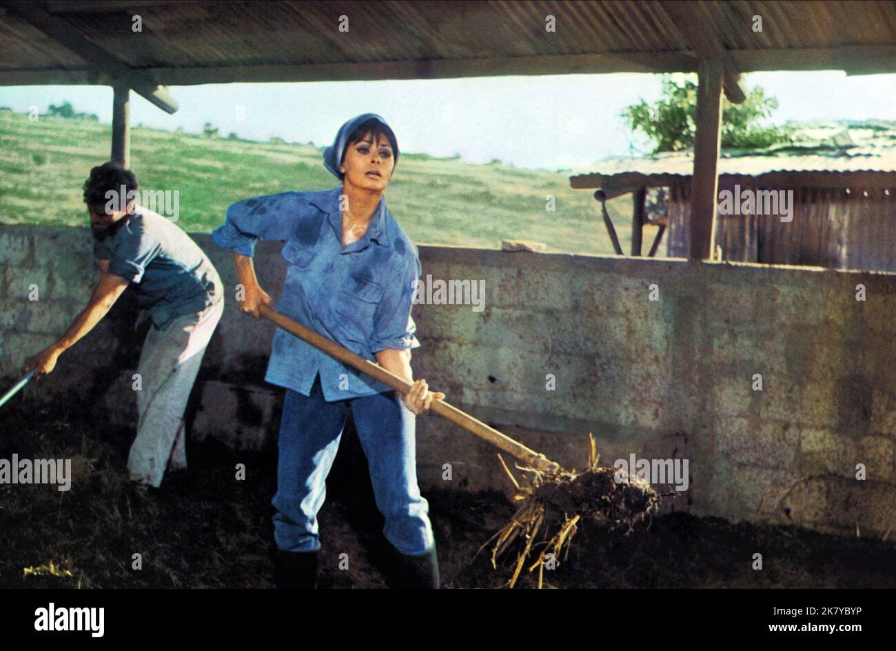 Judith Scene Judith 1966 sophia loren hi-res stock photography and images - Alamy