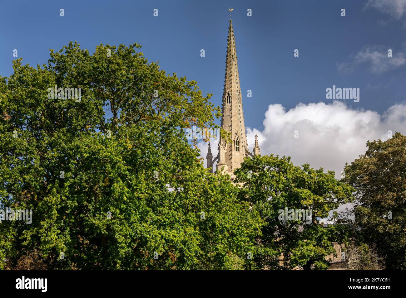 View of the spire of St Mary and St Nicolas church through the trees, Spalding, Lincolnshire, East of England Stock Photo