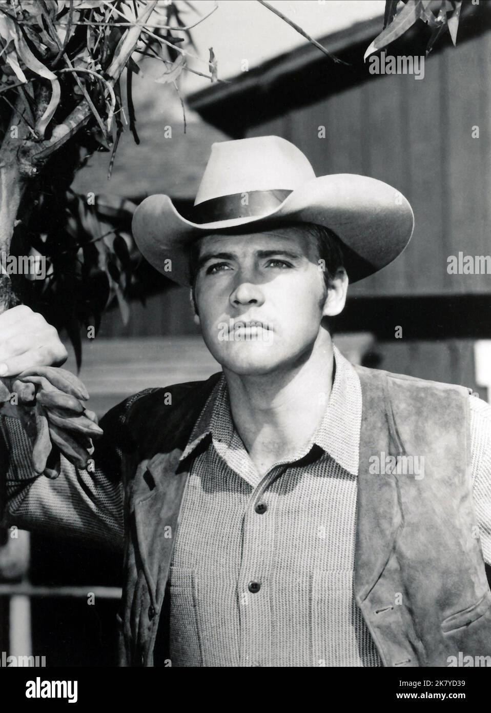 Lee Majors Film: The Big Valley (TV-SERIE) Characters: Heath Barkley Usa  1965-1969, 15 September 1965 **WARNING** This Photograph is for editorial  use only and is the copyright of ABC and/or the Photographer