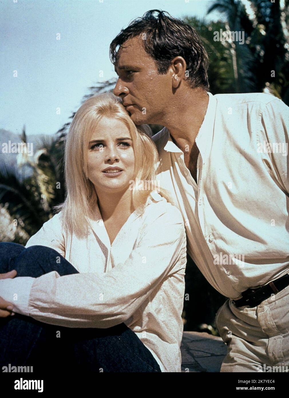 Night iguana 1964 richard burton hi-res stock photography and images ...