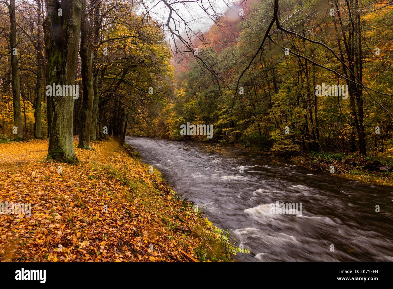 Divoka Orlice river near Potstejn village, Czech Republic Stock Photo ...