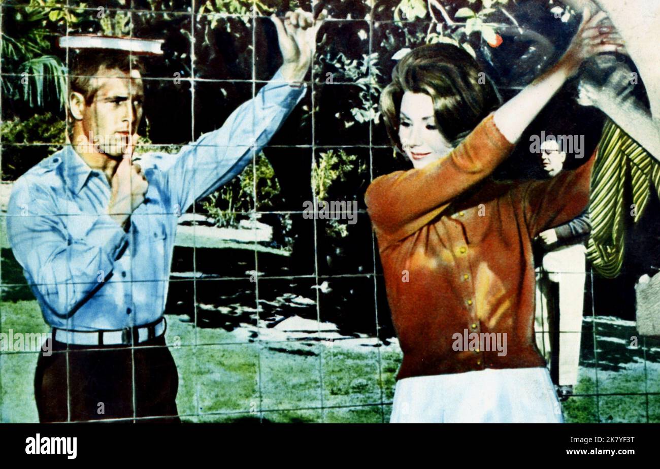 Paul Newman & Sylva Koscina Film: The Secret War Of Harry Frig (1968)   Director: Jack Smight 29 February 1968   **WARNING** This Photograph is for editorial use only and is the copyright of UNIVERSAL and/or the Photographer assigned by the Film or Production Company and can only be reproduced by publications in conjunction with the promotion of the above Film. A Mandatory Credit To UNIVERSAL is required. The Photographer should also be credited when known. No commercial use can be granted without written authority from the Film Company. Stock Photo