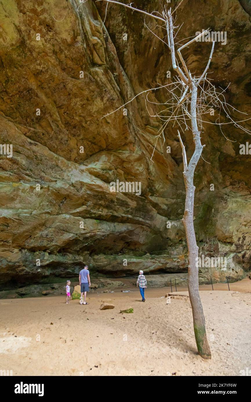 Logan, Ohio - Ash Cave at Hocking Hills State Park. The huge overhang is 700 feet long, 100 feet deep, and 90 feet high. It was used as shelter by Nat Stock Photo