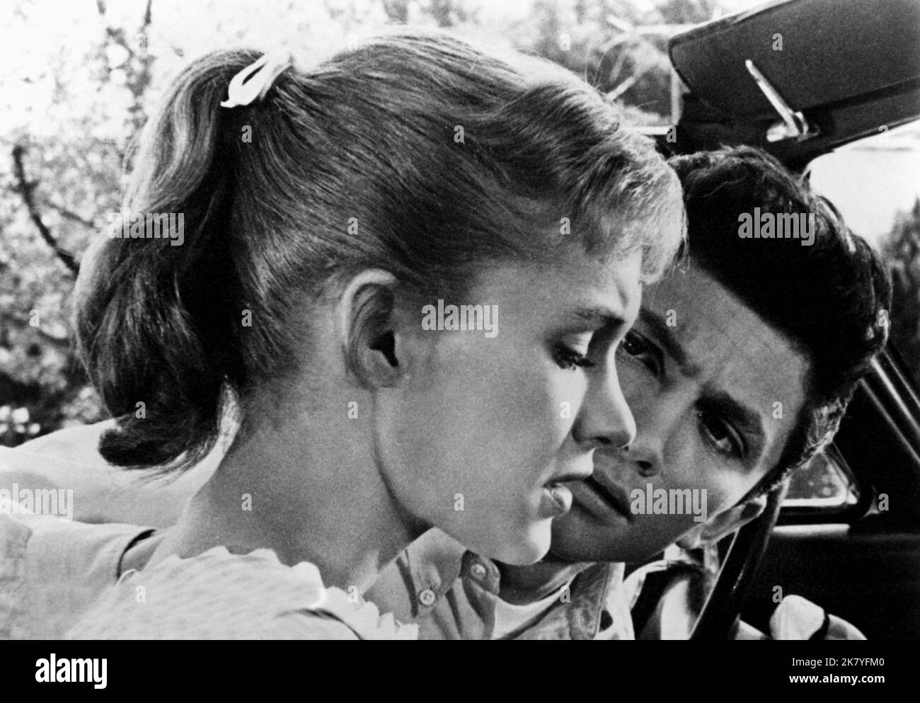 Jennifer West & Richard Evans Film: Teenage Lovers; Too Soon To Love (1961) Characters: Cathy Taylor & Jim Mills  Director: Richard Rush 01 February 1960   **WARNING** This Photograph is for editorial use only and is the copyright of UNIVERSAL and/or the Photographer assigned by the Film or Production Company and can only be reproduced by publications in conjunction with the promotion of the above Film. A Mandatory Credit To UNIVERSAL is required. The Photographer should also be credited when known. No commercial use can be granted without written authority from the Film Company. Stock Photo