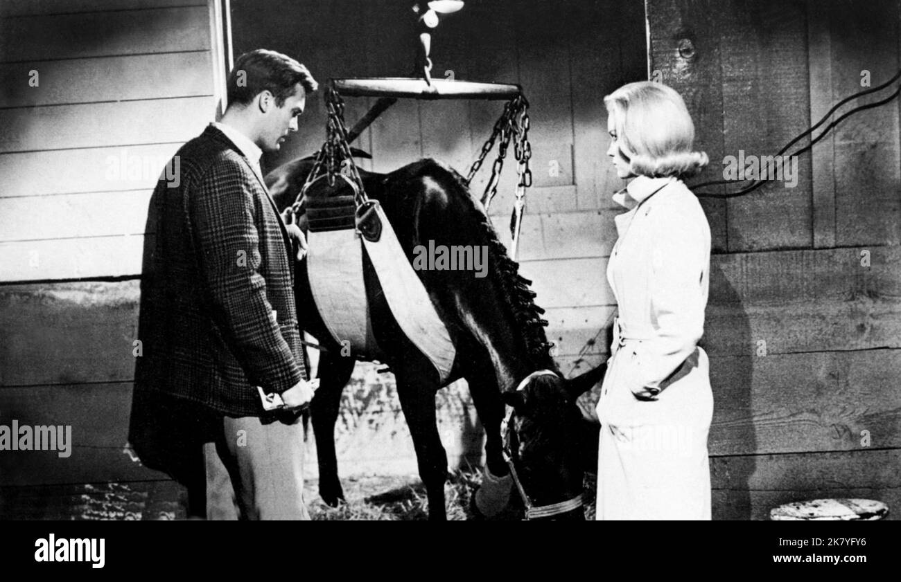 Ty Hardin & Dorothy Provine Film: Wall Of Noise (1963) Characters: Joel Tarrant & Ann Conroy  Director: Richard Wilson 04 September 1963   **WARNING** This Photograph is for editorial use only and is the copyright of WARNER BRO and/or the Photographer assigned by the Film or Production Company and can only be reproduced by publications in conjunction with the promotion of the above Film. A Mandatory Credit To WARNER BRO is required. The Photographer should also be credited when known. No commercial use can be granted without written authority from the Film Company. Stock Photo