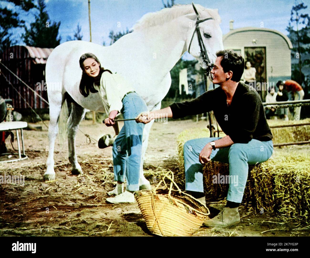 Nancy Kwan & Pat Boone Film: The Main Attraction (1966) Characters: Tessa & Eddie  Director: Daniel Petrie 01 November 1962   **WARNING** This Photograph is for editorial use only and is the copyright of SEVEN ARTS and/or the Photographer assigned by the Film or Production Company and can only be reproduced by publications in conjunction with the promotion of the above Film. A Mandatory Credit To SEVEN ARTS is required. The Photographer should also be credited when known. No commercial use can be granted without written authority from the Film Company. Stock Photo