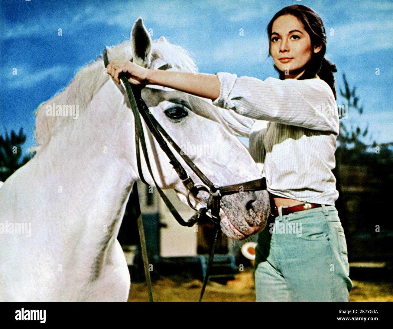 Nancy Kwan Film: The Main Attraction (1962) Characters: Tessa  Director: Daniel Petrie 01 November 1962   **WARNING** This Photograph is for editorial use only and is the copyright of SEVEN ARTS and/or the Photographer assigned by the Film or Production Company and can only be reproduced by publications in conjunction with the promotion of the above Film. A Mandatory Credit To SEVEN ARTS is required. The Photographer should also be credited when known. No commercial use can be granted without written authority from the Film Company. Stock Photo