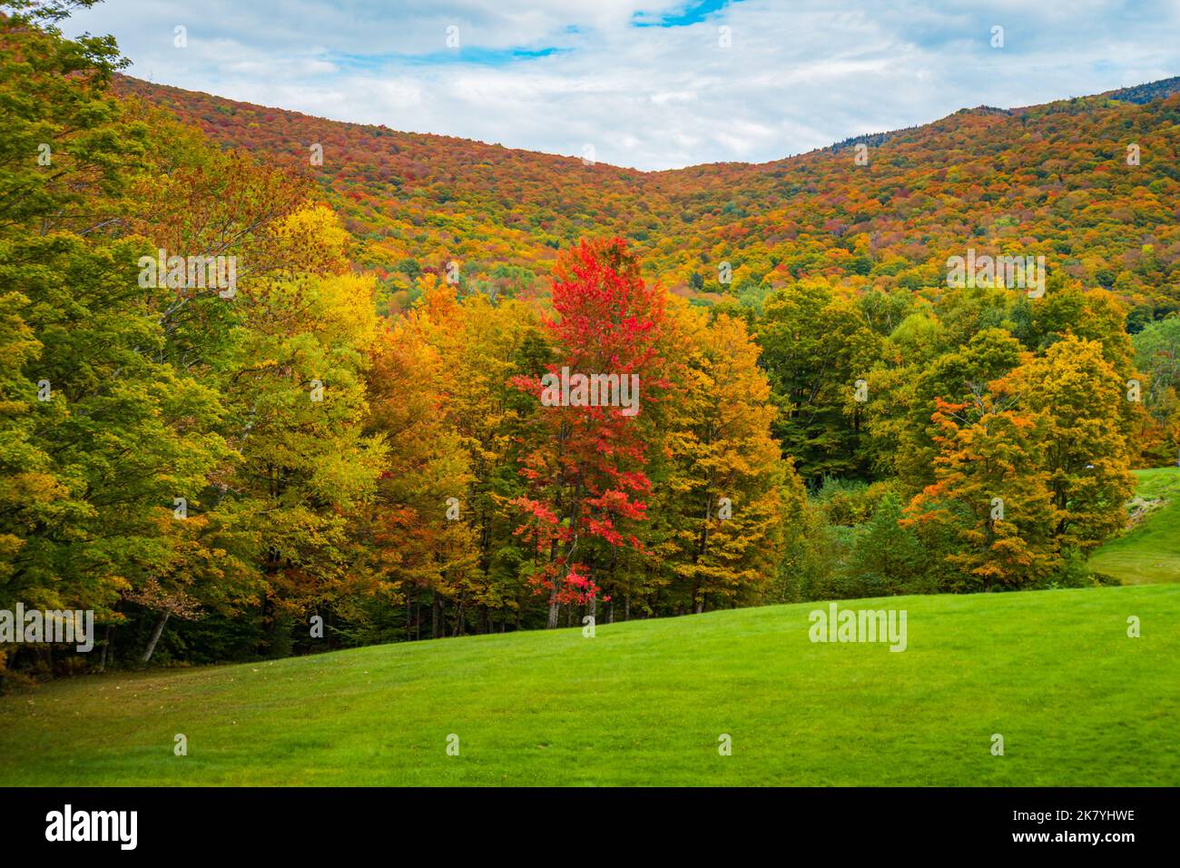 Vermont woods hi-res stock photography and images - Alamy