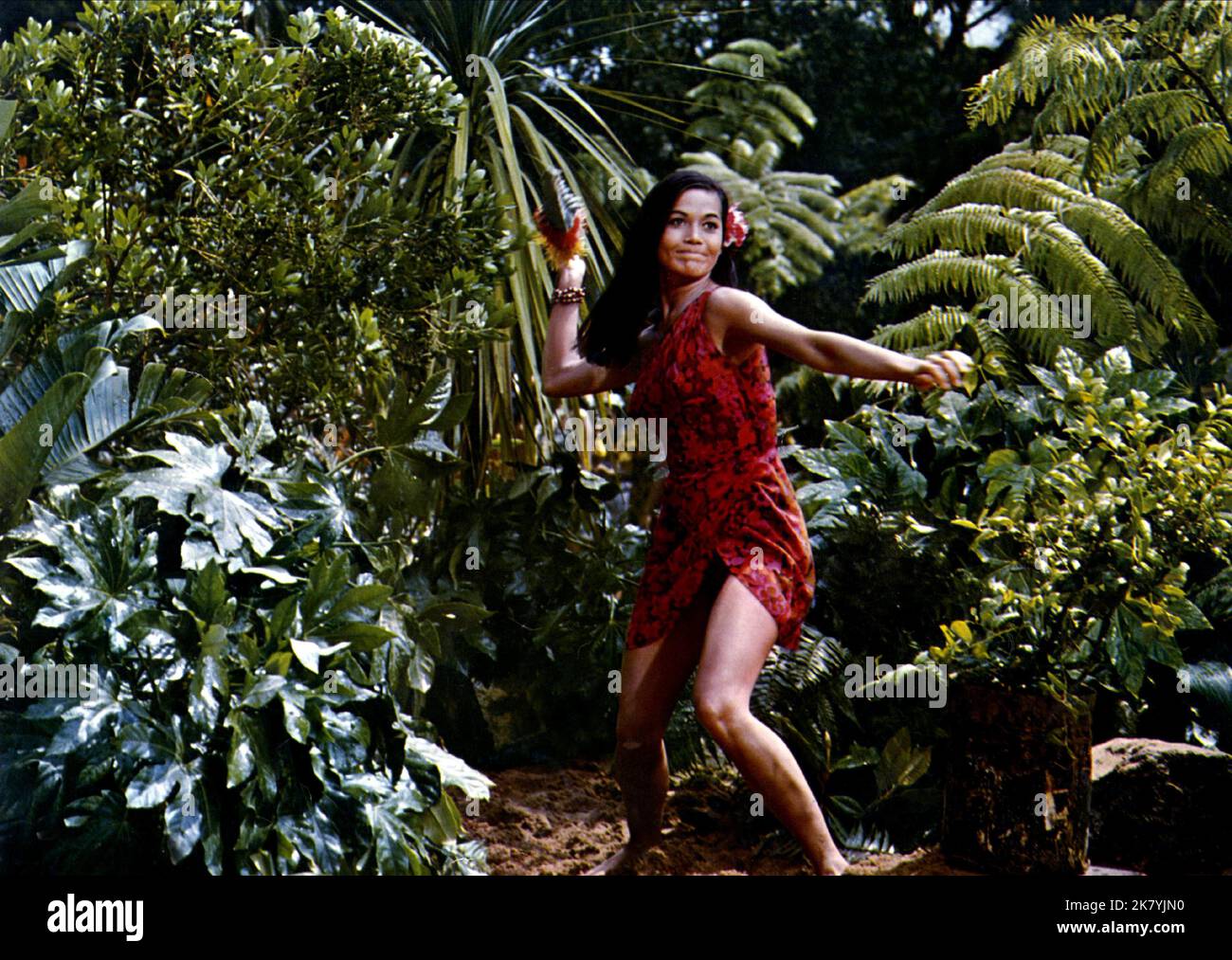Nancy Kwan Film: Lt. Robin Crusoe, U.S.N. (USA 1966) Characters: Wednesday  / Literaturverfilmung (Based On The Book By Daniel Defoe) Director: Byron Paul 29 June 1966   **WARNING** This Photograph is for editorial use only and is the copyright of WALT DISNEY PRODUCTIONS and/or the Photographer assigned by the Film or Production Company and can only be reproduced by publications in conjunction with the promotion of the above Film. A Mandatory Credit To WALT DISNEY PRODUCTIONS is required. The Photographer should also be credited when known. No commercial use can be granted without written auth Stock Photo