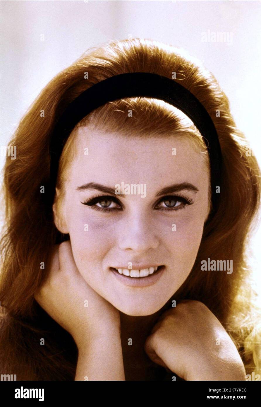 Ann margret stagecoach 1966 hi-res stock photography and images