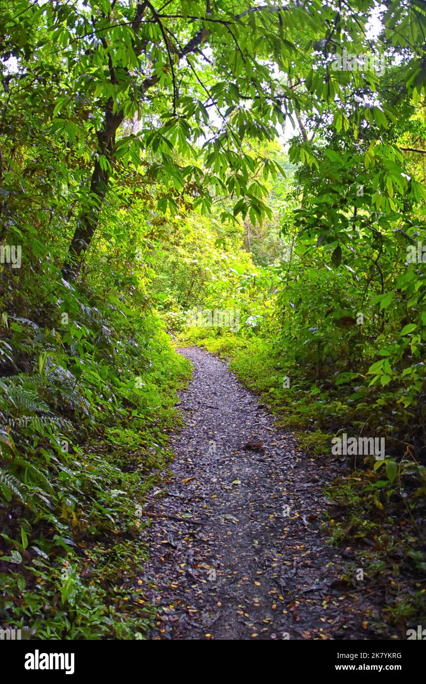 Waterfall Jaco Costa Rica, Trail views, Catarastas Valle Encantado