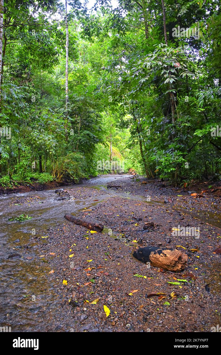 Waterfall Jaco Costa Rica, Trail views, Catarastas Valle Encantado