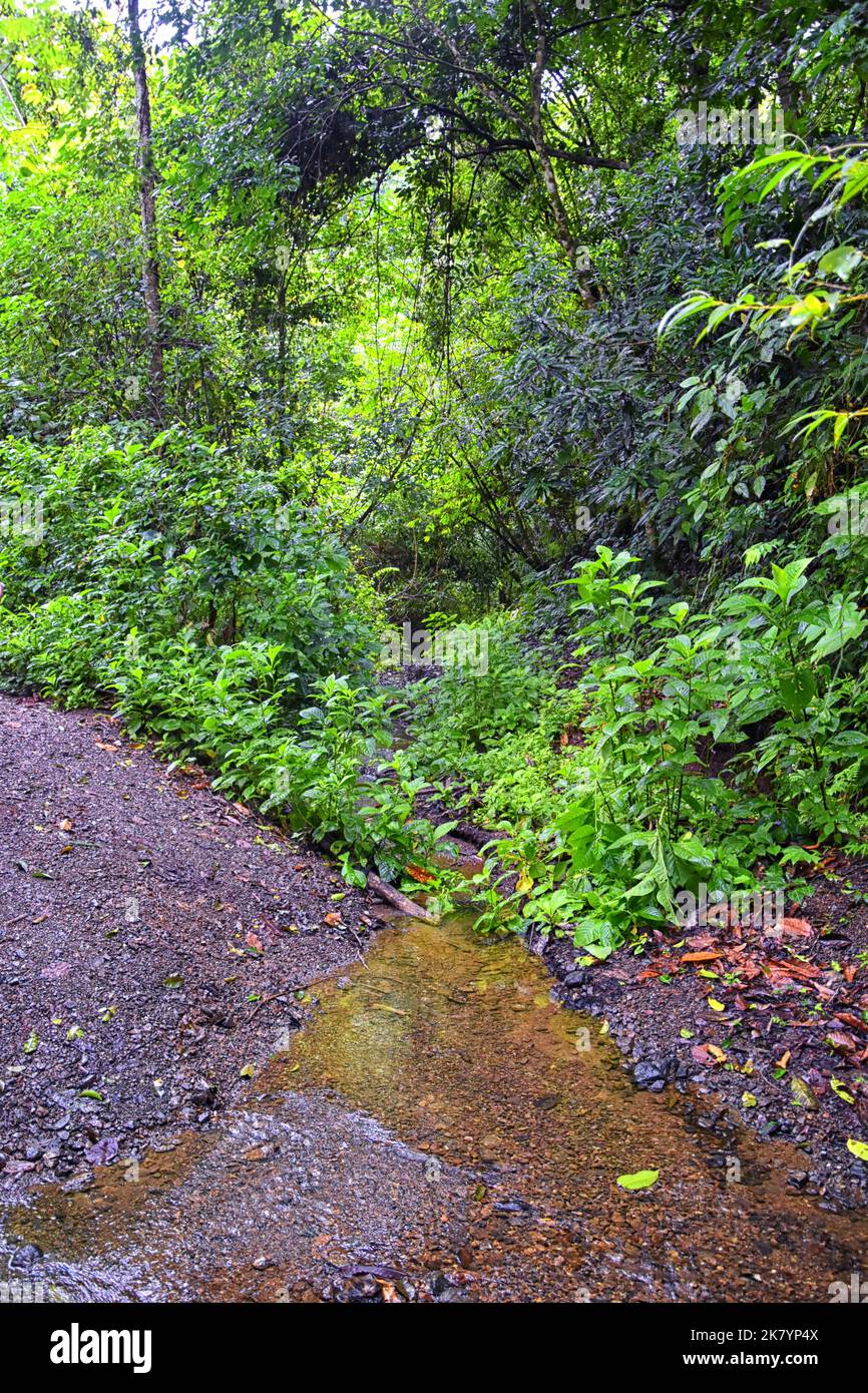 Waterfall Jaco Costa Rica, Trail views, Catarastas Valle Encantado
