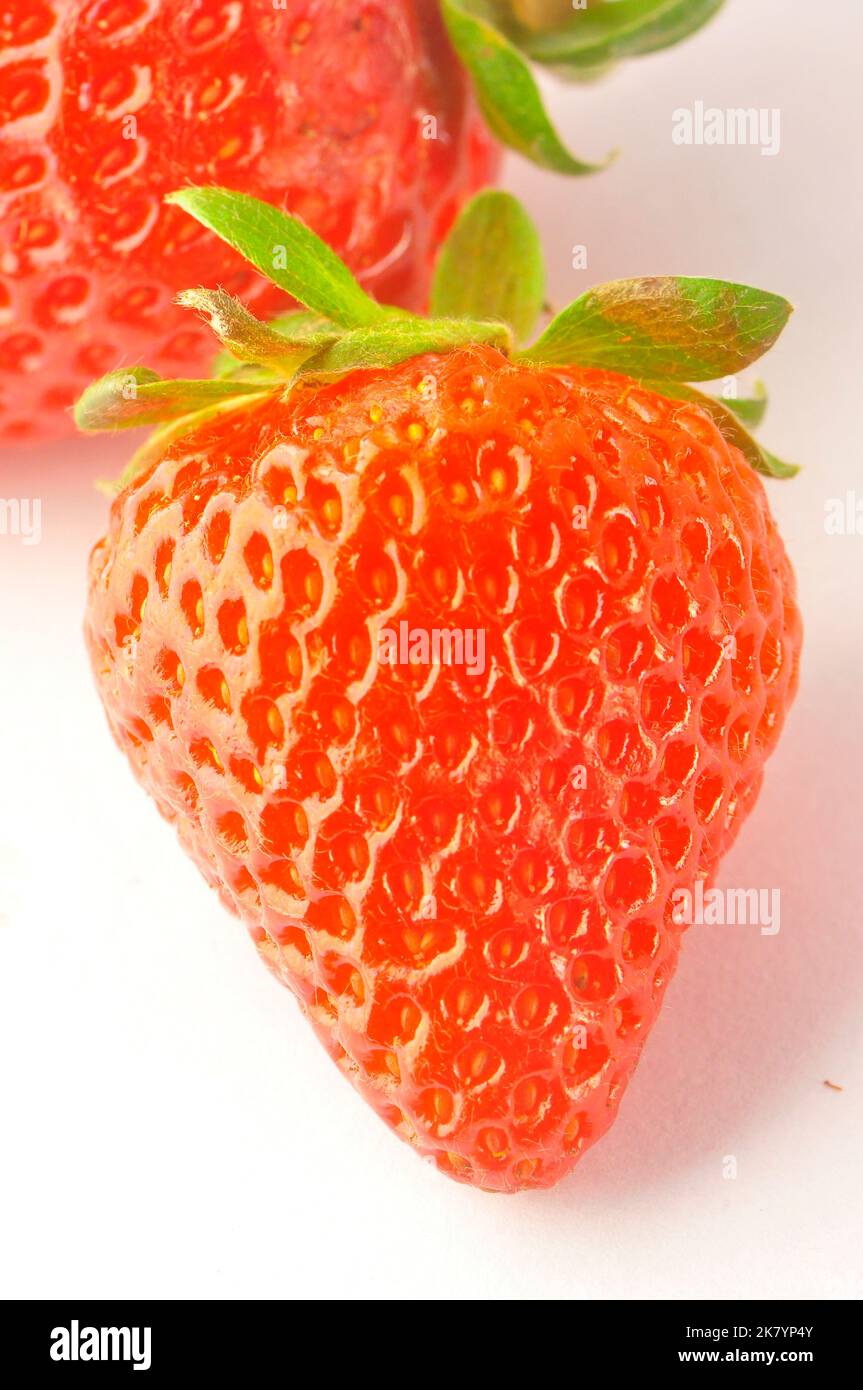 Fresh strawberry on white background Stock Photo - Alamy