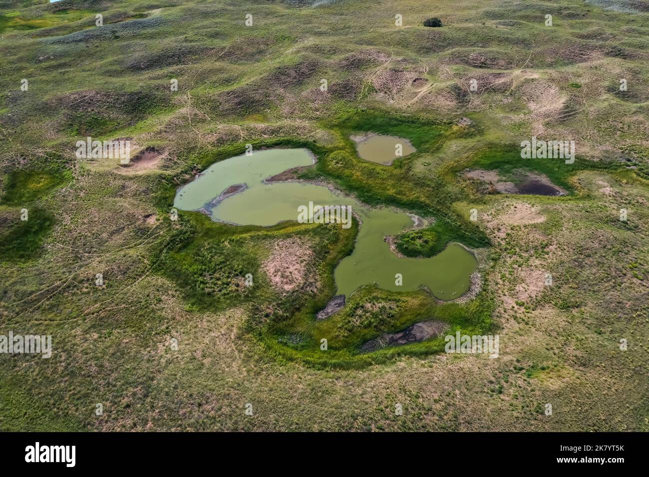 fresh water spring. aerial view.Argentina Stock Photo