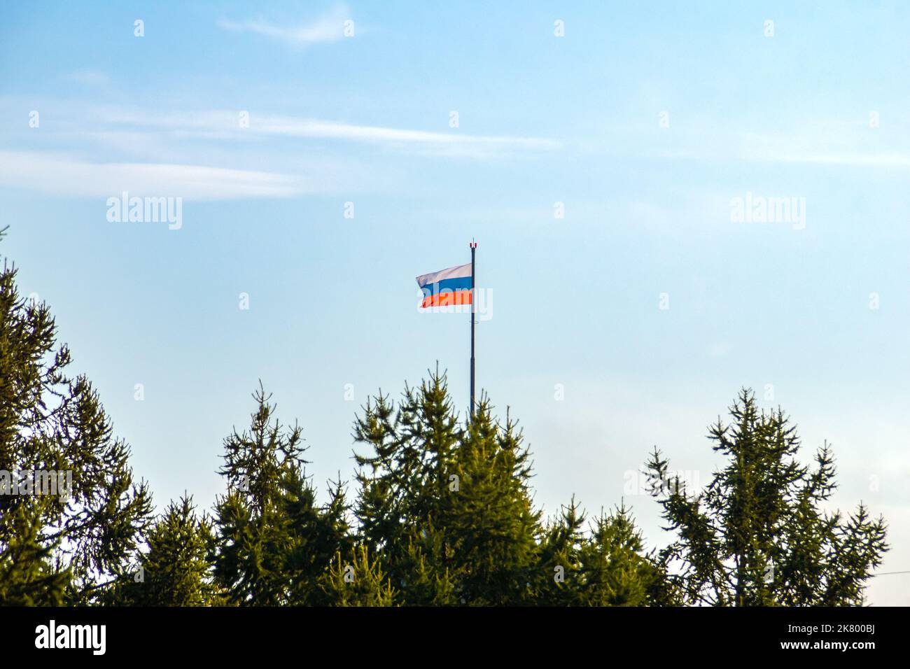 the Russian flag is visible above the coniferous forest on a flagpole with a warning red signal lamp, selective focus Stock Photo