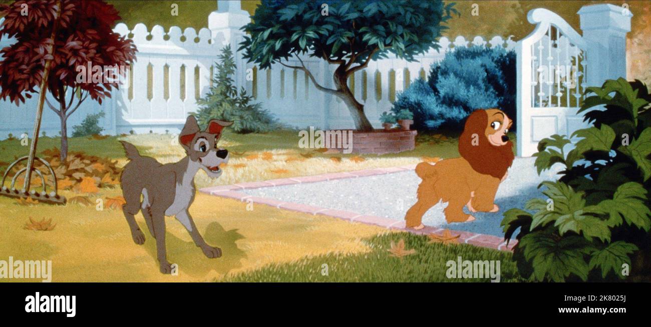 Tramp & Lady Film: Lady And The Tramp (USA 1955)   Regie: Clyde Geronimi, Wilfred Jackson, Hamilton Luske, Director: C Geronimi, W Jackson, H Luske 16 June 1955   **WARNING** This Photograph is for editorial use only and is the copyright of DISNEY and/or the Photographer assigned by the Film or Production Company and can only be reproduced by publications in conjunction with the promotion of the above Film. A Mandatory Credit To DISNEY is required. The Photographer should also be credited when known. No commercial use can be granted without written authority from the Film Company. Stock Photo