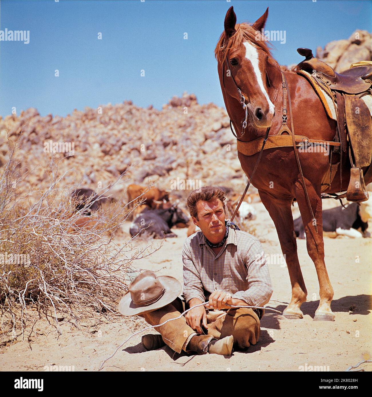 rawhide tv show characters Loni Hirsch