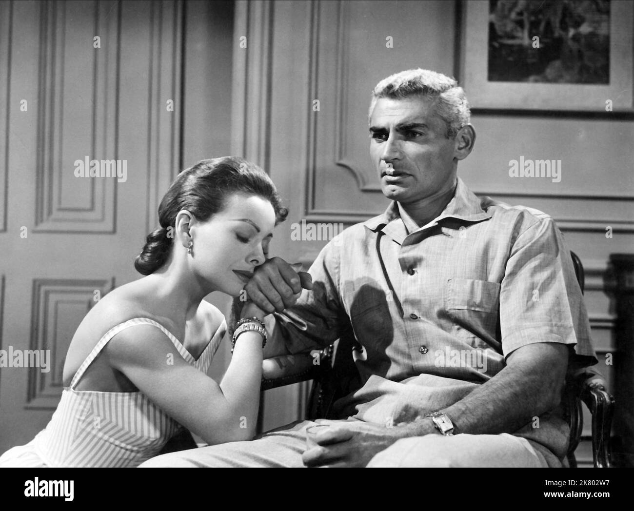 Steven P. Blackmer Obituary June 29, 2024 - Hanlin Funeral Home, image size:1300x1048