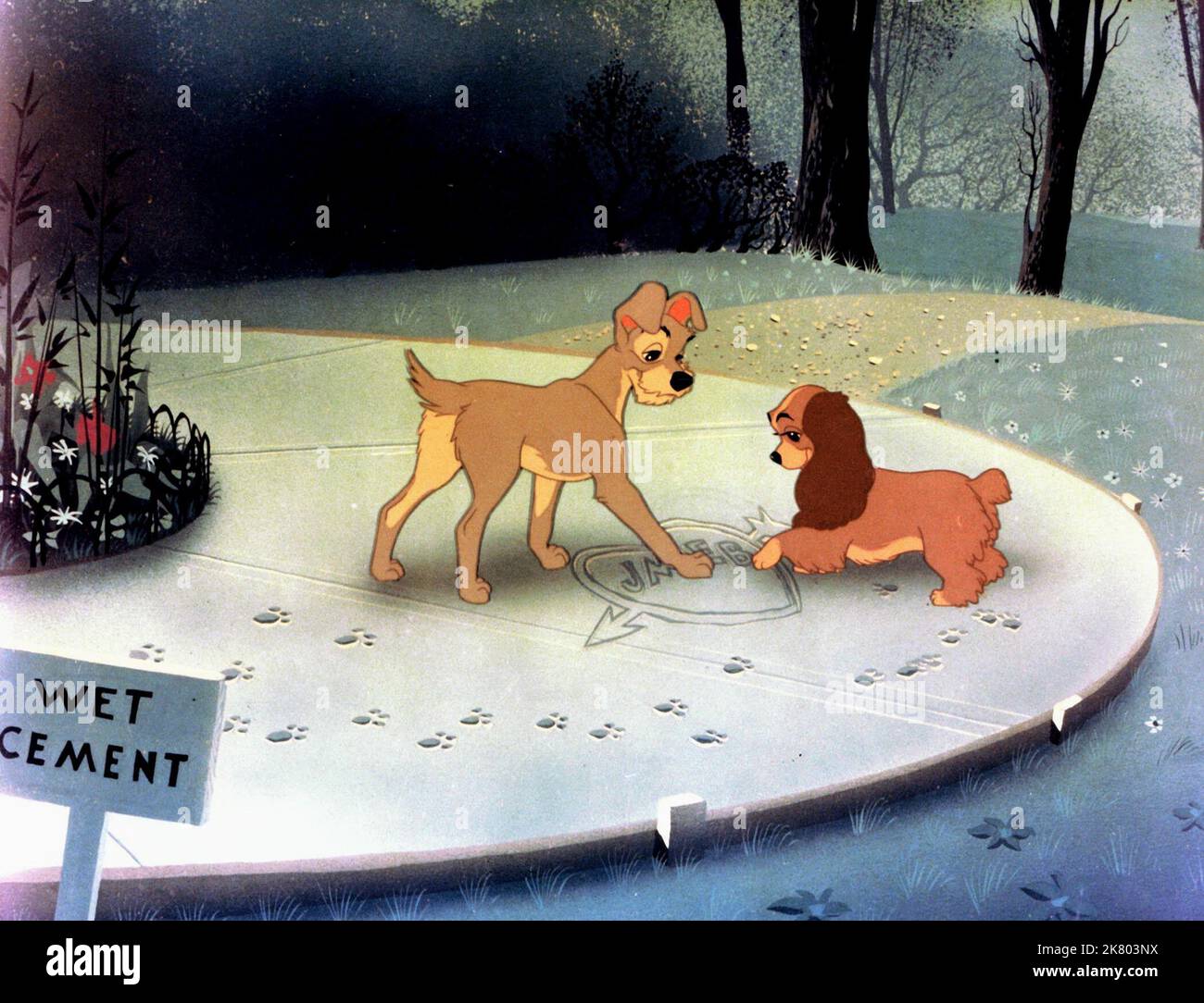 Tramp & Lady Film: Lady And The Tramp (USA 1955) Characters: Tramp & Lady  Regie: Clyde Geronimi, Wilfred Jackson, Hamilton Luske, Director: C Geronimi, W Jackson, H Luske 16 June 1955   **WARNING** This Photograph is for editorial use only and is the copyright of DISNEY and/or the Photographer assigned by the Film or Production Company and can only be reproduced by publications in conjunction with the promotion of the above Film. A Mandatory Credit To DISNEY is required. The Photographer should also be credited when known. No commercial use can be granted without written authority from the Fi Stock Photo