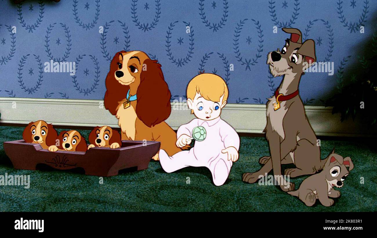 Puppies, Lady, Baby & Tramp Film: Lady And The Tramp (USA 1955) Characters: ,Lady, & Tramp  Regie: Clyde Geronimi, Wilfred Jackson, Hamilton Luske, Director: C Geronimi, W Jackson, H Luske 16 June 1955   **WARNING** This Photograph is for editorial use only and is the copyright of DISNEY and/or the Photographer assigned by the Film or Production Company and can only be reproduced by publications in conjunction with the promotion of the above Film. A Mandatory Credit To DISNEY is required. The Photographer should also be credited when known. No commercial use can be granted without written auth Stock Photo