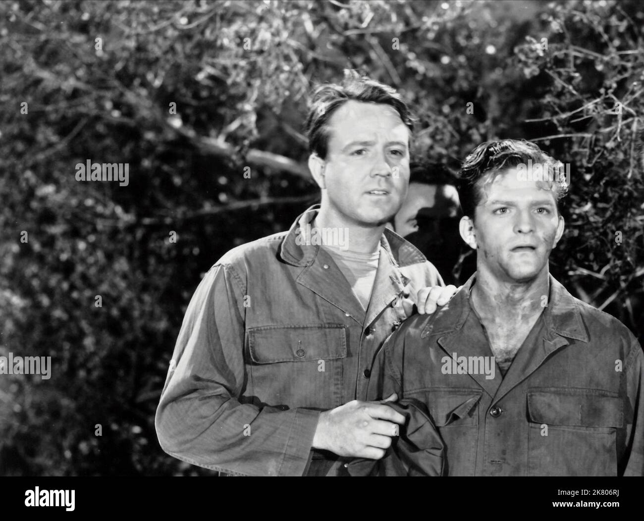 Stanley Clements & Jeffrey Stone Film: Army Bound (1952) Characters: Frank Cermak, Lt. Peters         (as John Fontaine)  Director: Paul Landres 05 October 1952   **WARNING** This Photograph is for editorial use only and is the copyright of MONOGRAM PICTURES and/or the Photographer assigned by the Film or Production Company and can only be reproduced by publications in conjunction with the promotion of the above Film. A Mandatory Credit To MONOGRAM PICTURES is required. The Photographer should also be credited when known. No commercial use can be granted without written authority from the Film Stock Photo