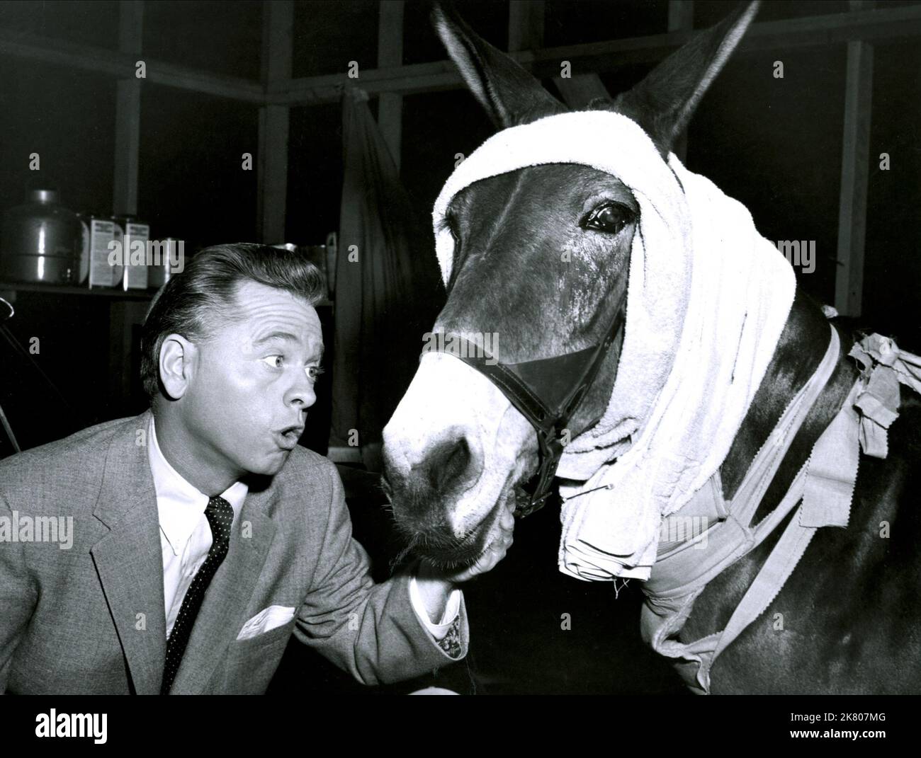 Mickey Rooney & Horse Film: Francis In The Haunted House (1956) Characters: David Prescott  Director: Charles Lamont 09 July 1956   **WARNING** This Photograph is for editorial use only and is the copyright of UI and/or the Photographer assigned by the Film or Production Company and can only be reproduced by publications in conjunction with the promotion of the above Film. A Mandatory Credit To UI is required. The Photographer should also be credited when known. No commercial use can be granted without written authority from the Film Company. Stock Photo