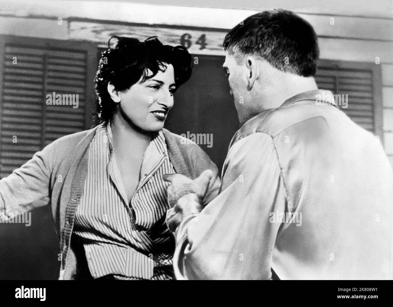 The rose tattoo 1955 burt lancaster hi-res stock photography and images -  Alamy