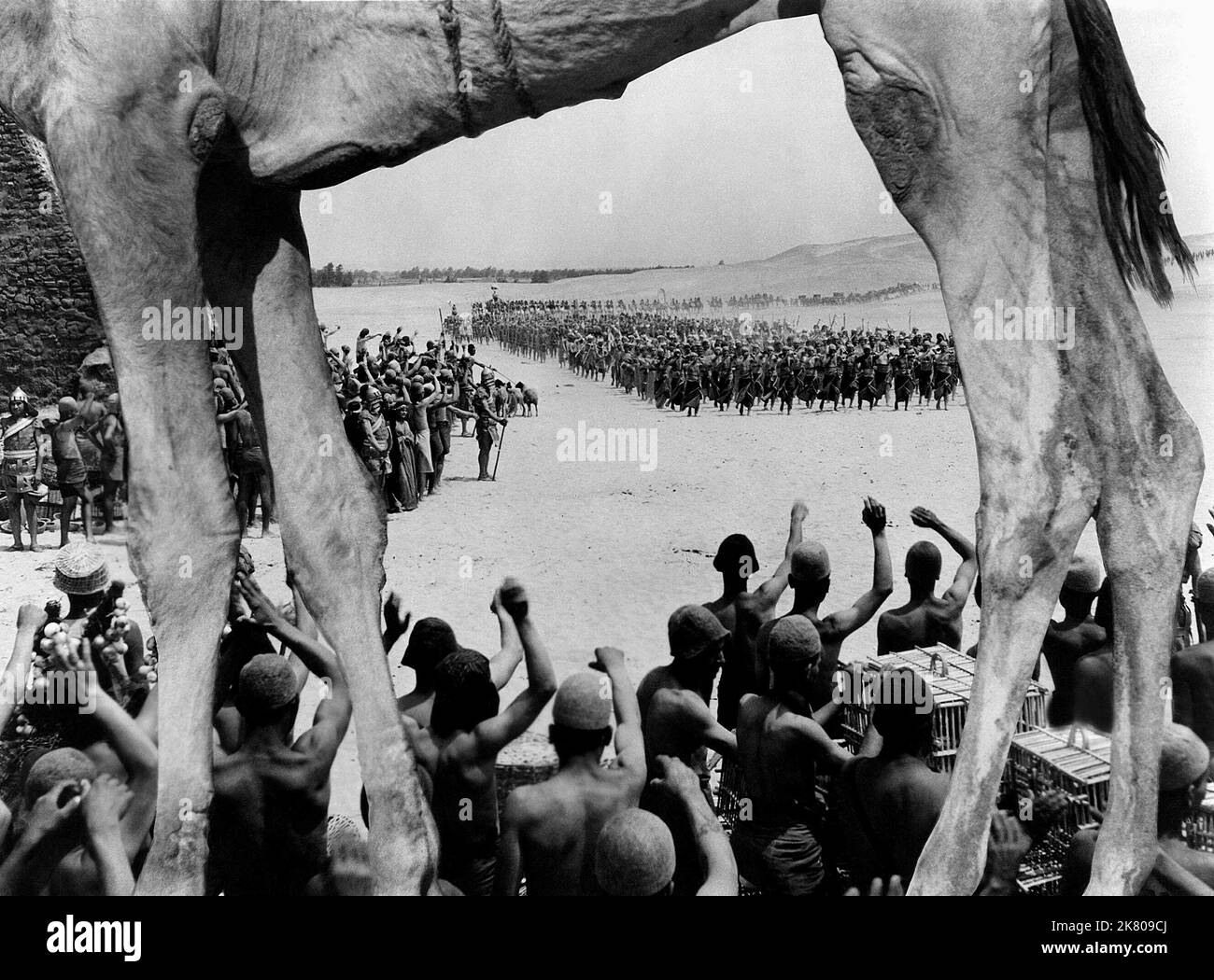 Slave Scene Film: Land Of The Pharaohs (1955)   Director: Howard Hawks 24 June 1955   **WARNING** This Photograph is for editorial use only and is the copyright of WARNER BROS and/or the Photographer assigned by the Film or Production Company and can only be reproduced by publications in conjunction with the promotion of the above Film. A Mandatory Credit To WARNER BROS is required. The Photographer should also be credited when known. No commercial use can be granted without written authority from the Film Company. Stock Photo