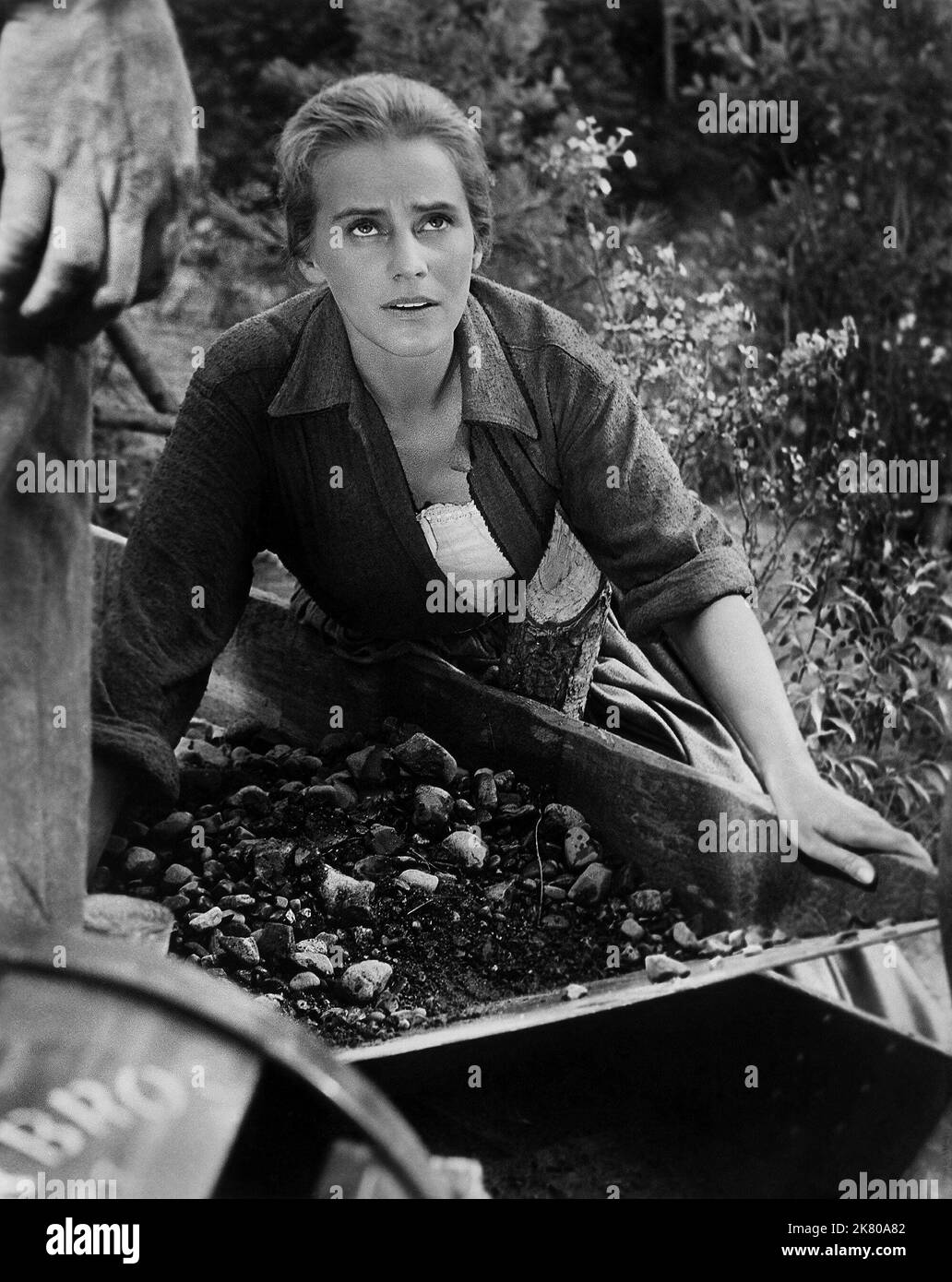 Maria Schell Film The Brothers Karamazov (1958) Characters Grushenka