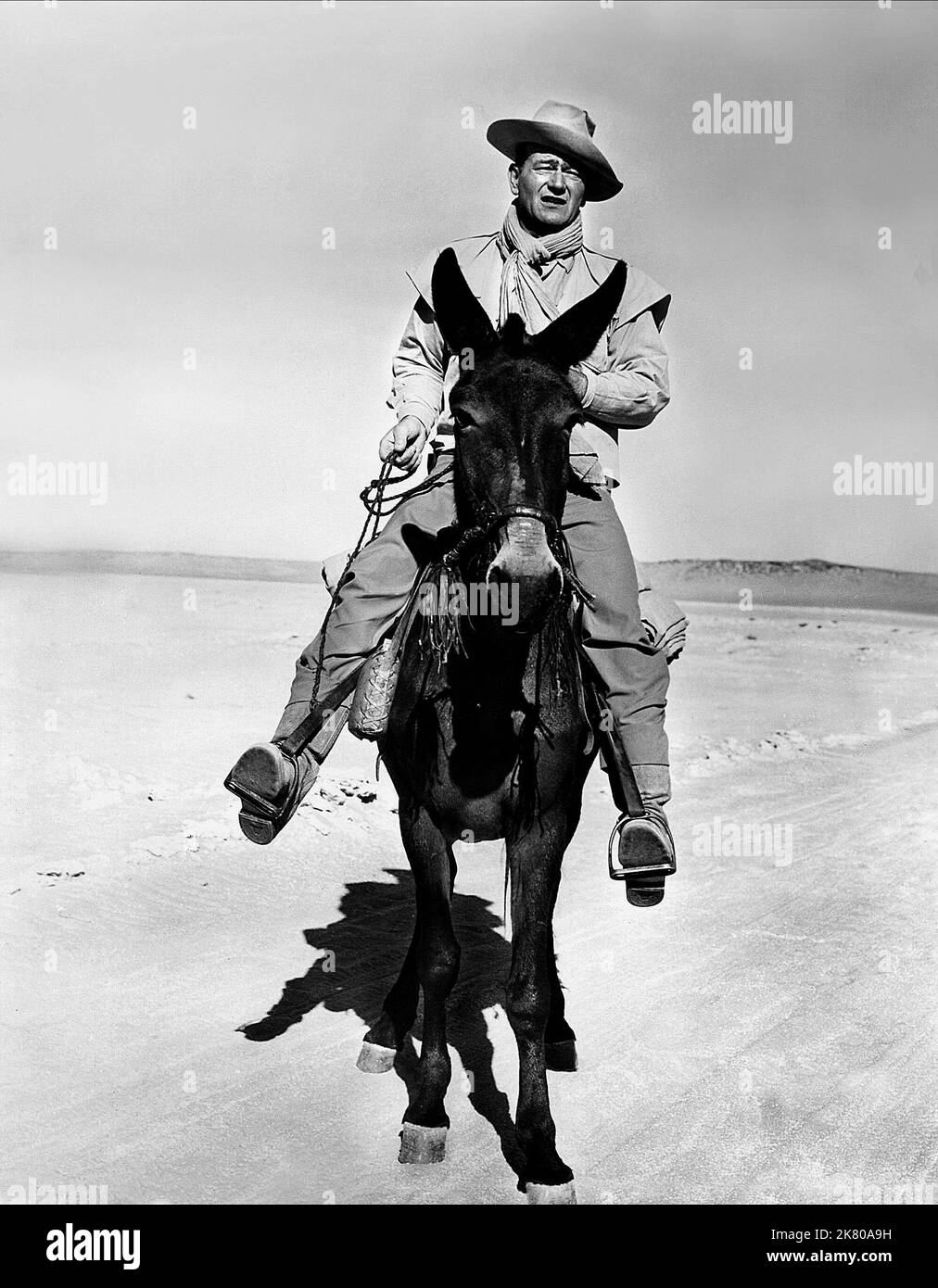 John Wayne Horses He Rode S